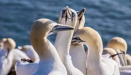 中方警告没听进去，大批稀土被转运给美国，美财长对华提要求，商务部果断出手