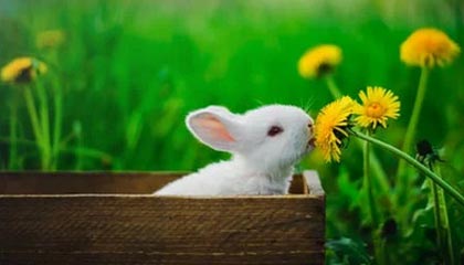 丈夫隐瞒患艾滋10年，夫妻生活无防护，妻子虽未感染但精神压力大起诉离婚，法院判决撤销婚姻