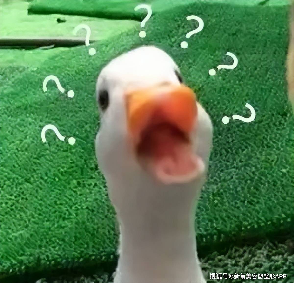 韩国男人往肩部埋双开门硅胶，20w人民币打成偏瘫？