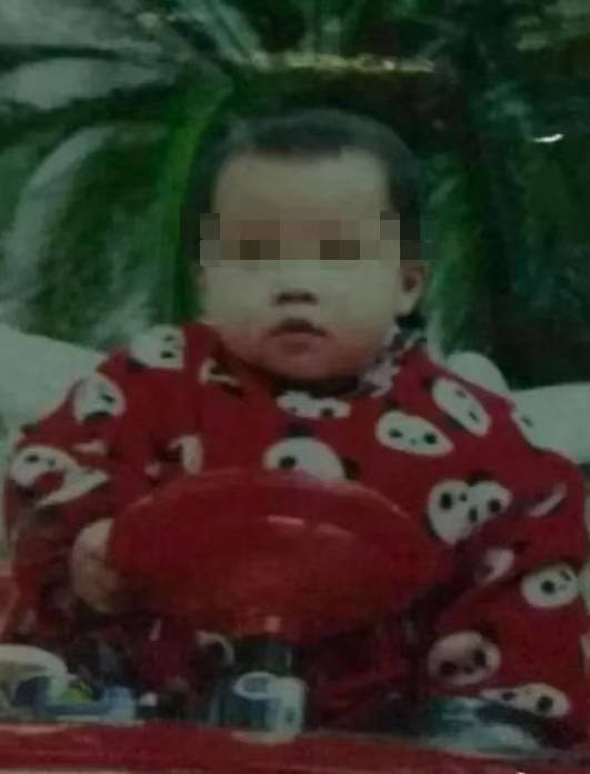 “梅姨案”进展:被拐的9个孩子都找到了,“梅姨”仍未归案