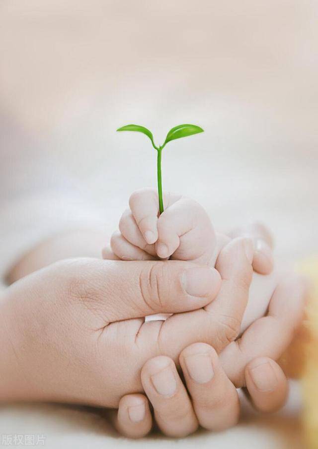 一系列生育支持措施来了!卫健委回应奖励三孩家庭1.3万:暂无人申请,很多人咨询