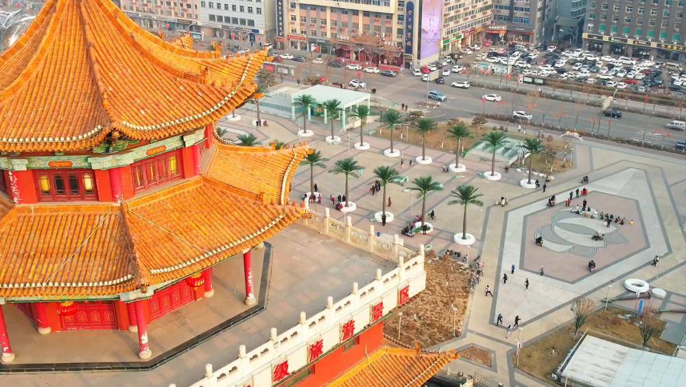 违规花千万装修县政府大楼,仿真椰子树成了“背锅侠”