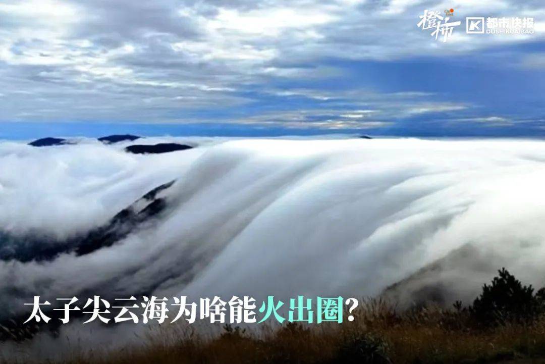 “来都来了,那就查一个吧”,浙江男子意外查出癌