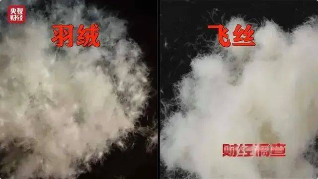 羽绒服爆大雷!3000多元买的羽绒服拆开全是飞丝!许多网友剪开了自己的衣服……