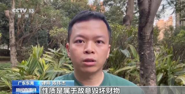 已捞起96辆!东莞共享单车被破坏沉河,捞一辆需要6个人,律师提醒