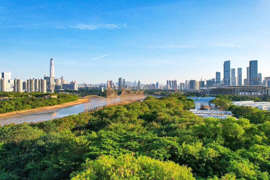 曾是“世界之最”!陪伴深圳人近40年的地标正式拆除