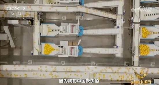 2024年末央视再度专访钟睒睒,背后有何深意?