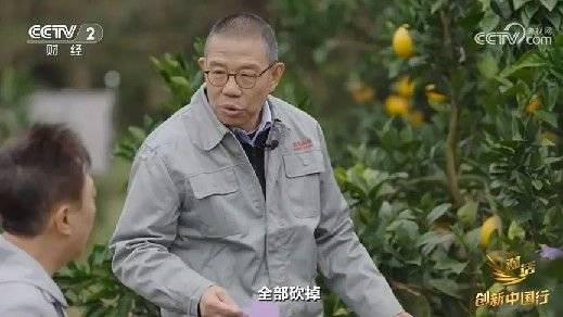 2024年末央视再度专访钟睒睒,背后有何深意?