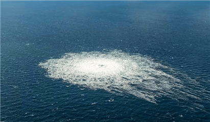 武契奇预言:你看着,美国人会买下北溪管道