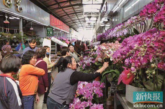 太火了!广州有商家一天卖出平时一个月的花