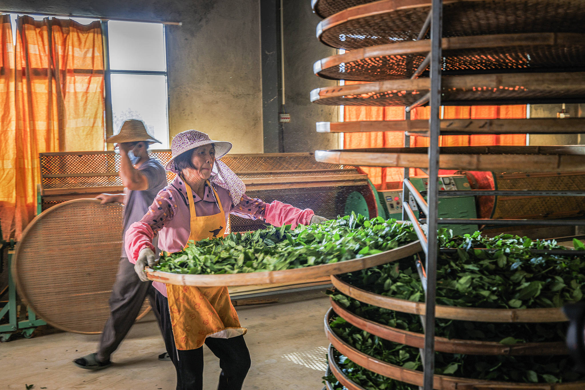 3年狂揽55亿、净赚5.8亿!福建豪门捧出一个IPO