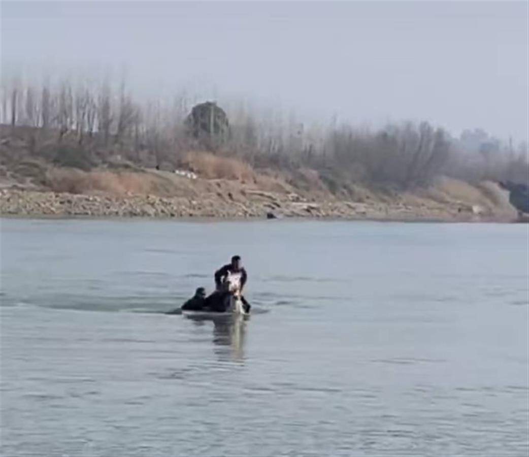 入江救人的白龙马走了,但挺身而出的侠义永远激荡人心