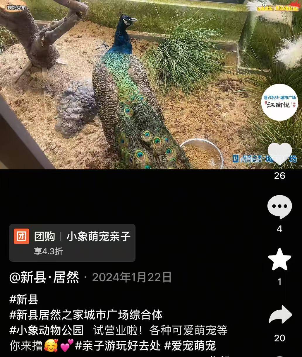 网友谴责河南新县一萌宠园过年期间无人看管，有宠物死亡 居委会：每天都有人投喂，现已清洁打扫