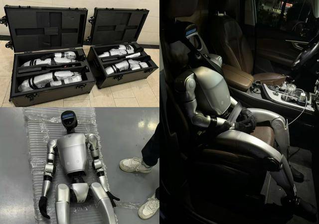 售价10万~65万,销售一空!谁在抢购人形机器人