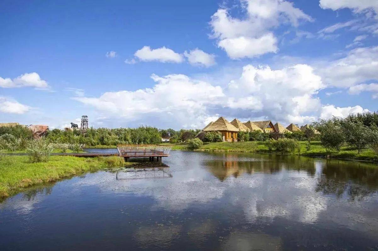 普京一诺千金!将侵占中国79年的领土归还,面积比5个澳门都大