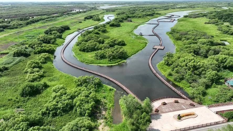 普京一诺千金!将侵占中国79年的领土归还,面积比5个澳门都大