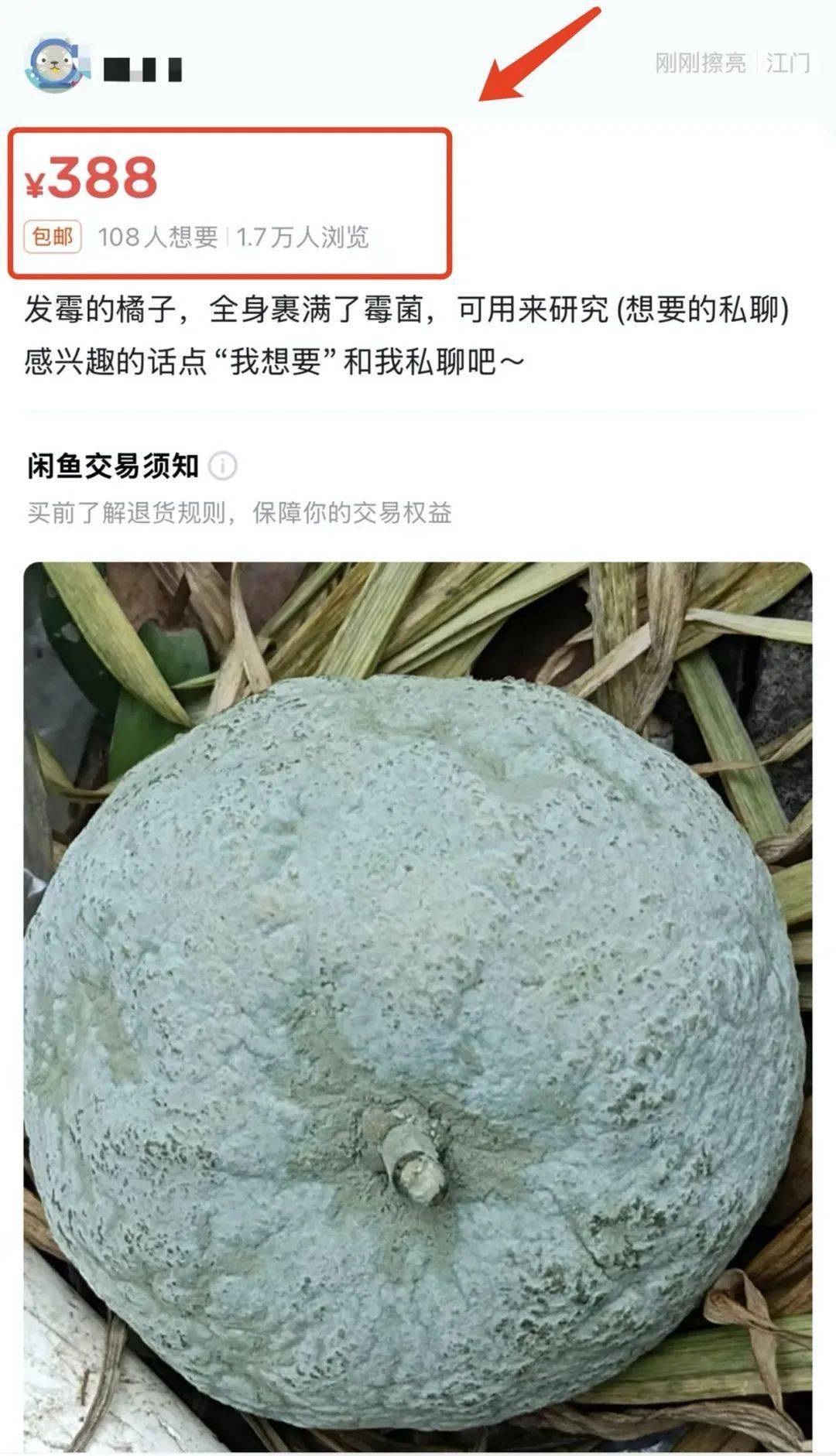 突然火了！有人卖500元一个！网友：后悔扔了……