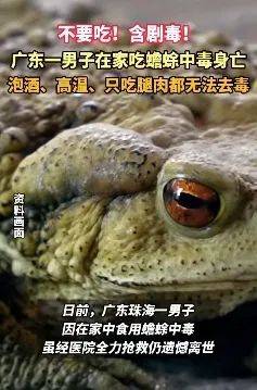 不要吃!含剧毒!无解药!已有人因此身亡…