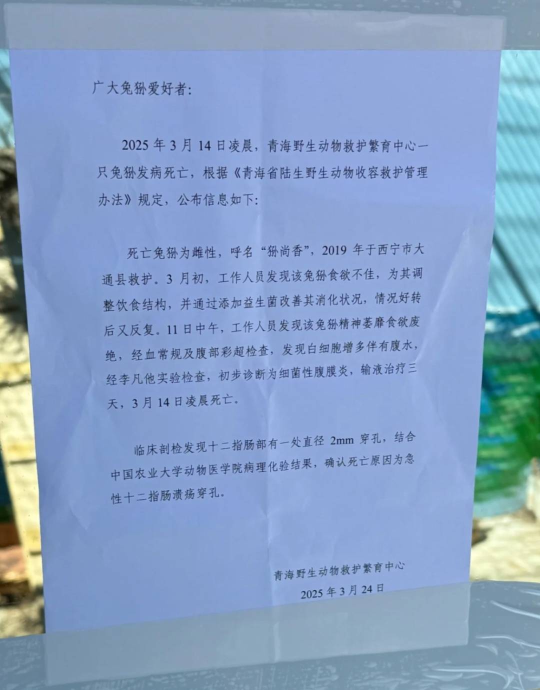 官方确认！“一家三口”先后去世，网友：为什么这么难