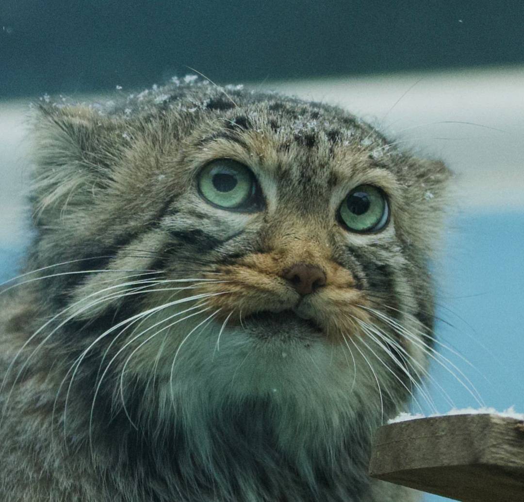 官方确认!“一家三口”先后去世,网友:为什么这么难