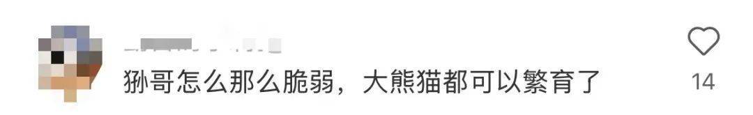 官方确认!“一家三口”先后去世,网友:为什么这么难
