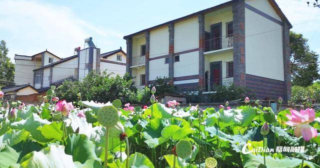 武汉夫妇郑州寻找失联23年侄女,当面交还2套房