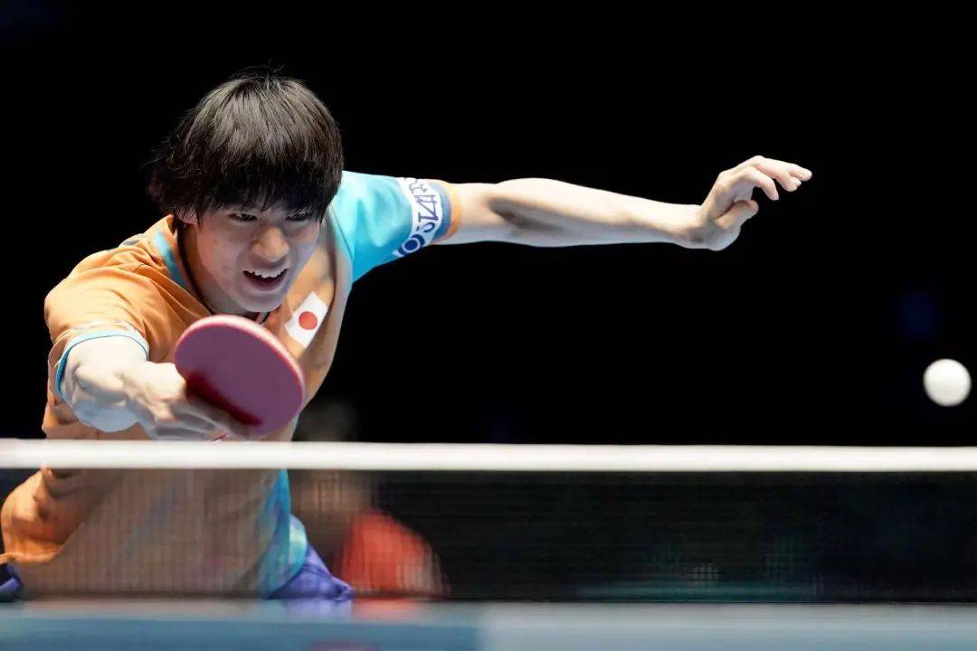 林诗栋、王楚钦、梁靖崑晋级8强| 澳门男子世界杯