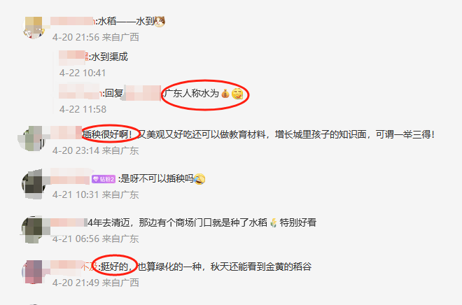 谁种的?东莞闹市区绿化带惊现水稻,网友化身福尔摩斯来探案,家居广场:商户提的建议