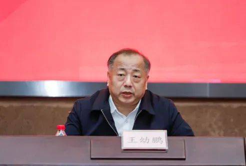 曾任深圳市人民政府副秘书长、市政协副主席的王幼鹏非法收受巨额财物