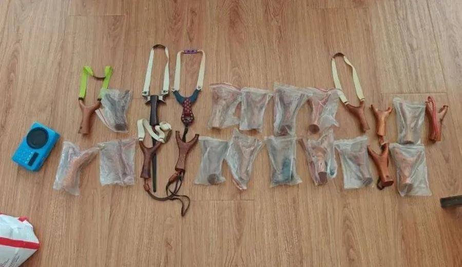 沈阳一主播在直播现场被捕！团队成员在多地被抓获