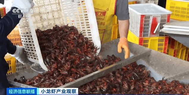 价格暴跌近50%!“接下来还会降”!青岛正大量上市……