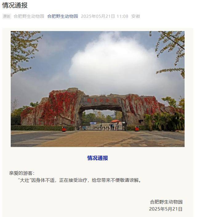 网红猴“大壮”突然离世！曾因方脸“丑”出圈