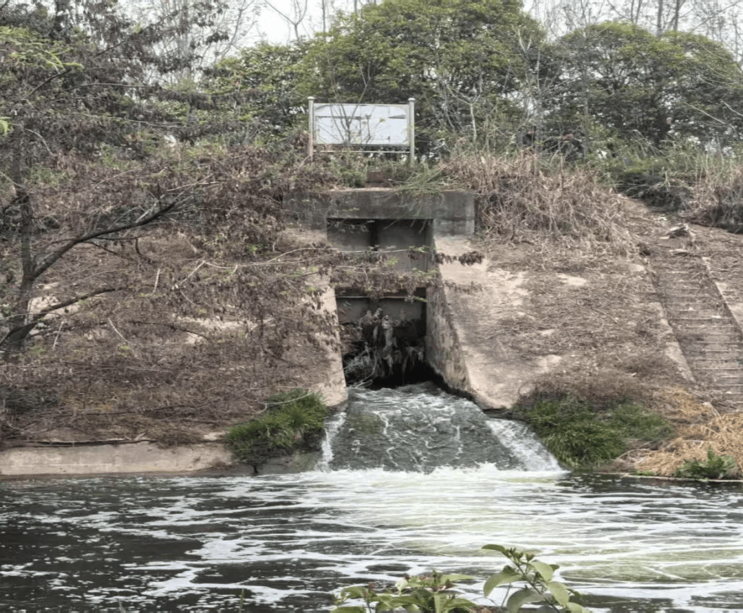 中央督察组点名:宝鸡市弄虚作假问题突出,铜川市违规发许可证、被发现当天紧急撤销