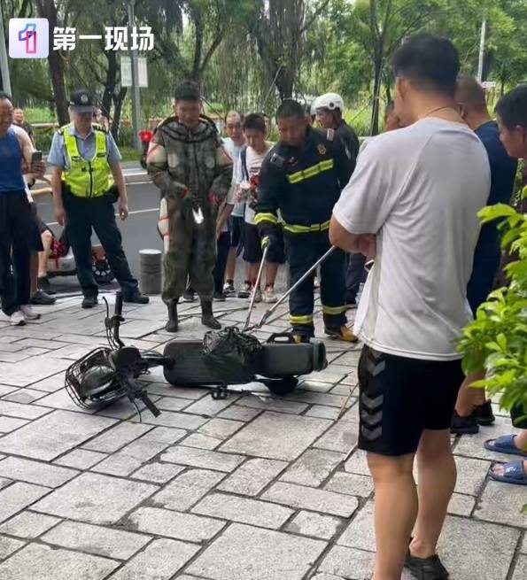 女子骑电单车出门，车里突然钻出1米多长蛇！高发期注意→