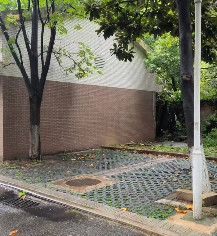 中南财大副教授遭精神病人杀害，妻子发声