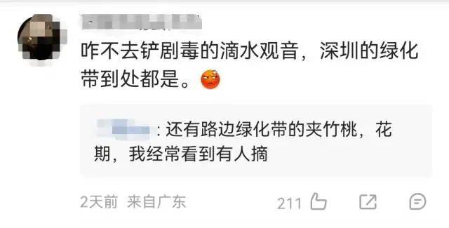 大片连根铲除!深圳一公园“火速响应”引质疑,网友为它喊冤