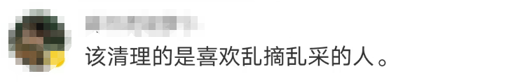 大片连根铲除!深圳一公园“火速响应”引质疑,网友为它喊冤