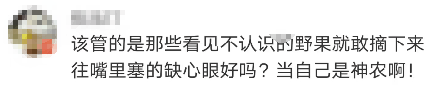 大片连根铲除!深圳一公园“火速响应”引质疑,网友为它喊冤