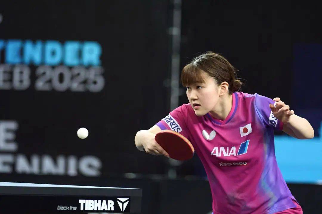 张本智和、大藤沙月单打夺冠 | WTT常规挑战赛萨格勒布站