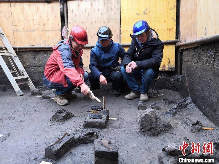 世界级重大考古成果!中国发现30万年前东亚最早木器