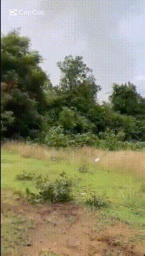 又炸了！泰国F-16越炸越凶，中国远火开打，最终还是柬埔寨失算了