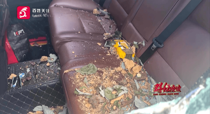 贵阳一700年古树砸扁“宝马”，现场惨不忍睹，林业局：车主他也有错