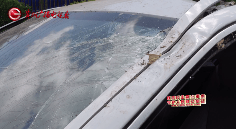 贵阳一700年古树砸扁“宝马”，现场惨不忍睹，林业局：车主他也有错