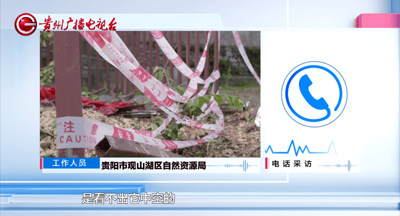 贵阳一700年古树砸扁“宝马”，现场惨不忍睹，林业局：车主他也有错