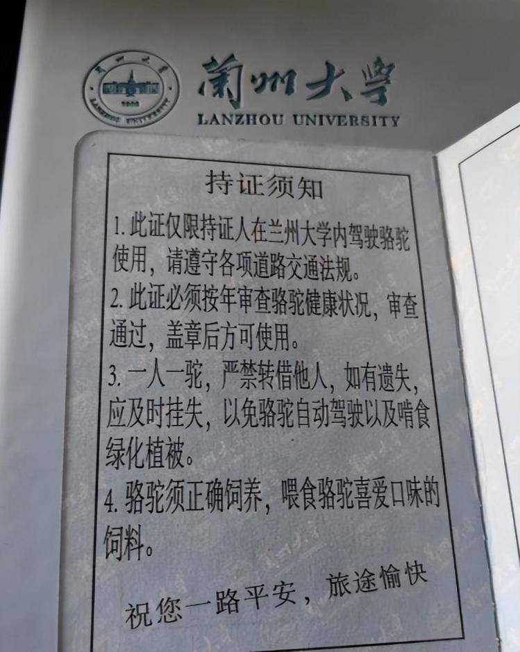 一人一驼,骆驼尾气排放超标要扣分?兰大回应学生持证骑骆驼上学:骆驼驾驶证为学校文创,非官方证件