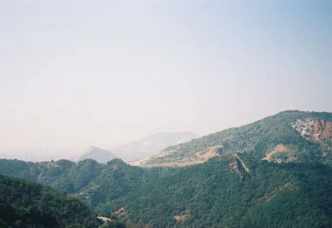 卷了一周的北京白领,周末扎进天津县城