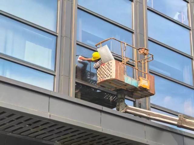 北京一座大厦楼下躺了14只鸟,12只已死亡!元凶竟是玻璃