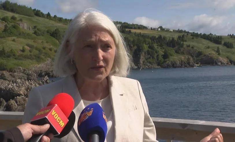 宁愿全部安乐死，也不给中国？加拿大养不起30头白鲸，中国愿接手，然而...