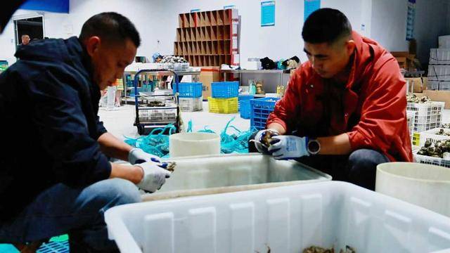 大众日报与16市党报联动,看山东新农人忙农事