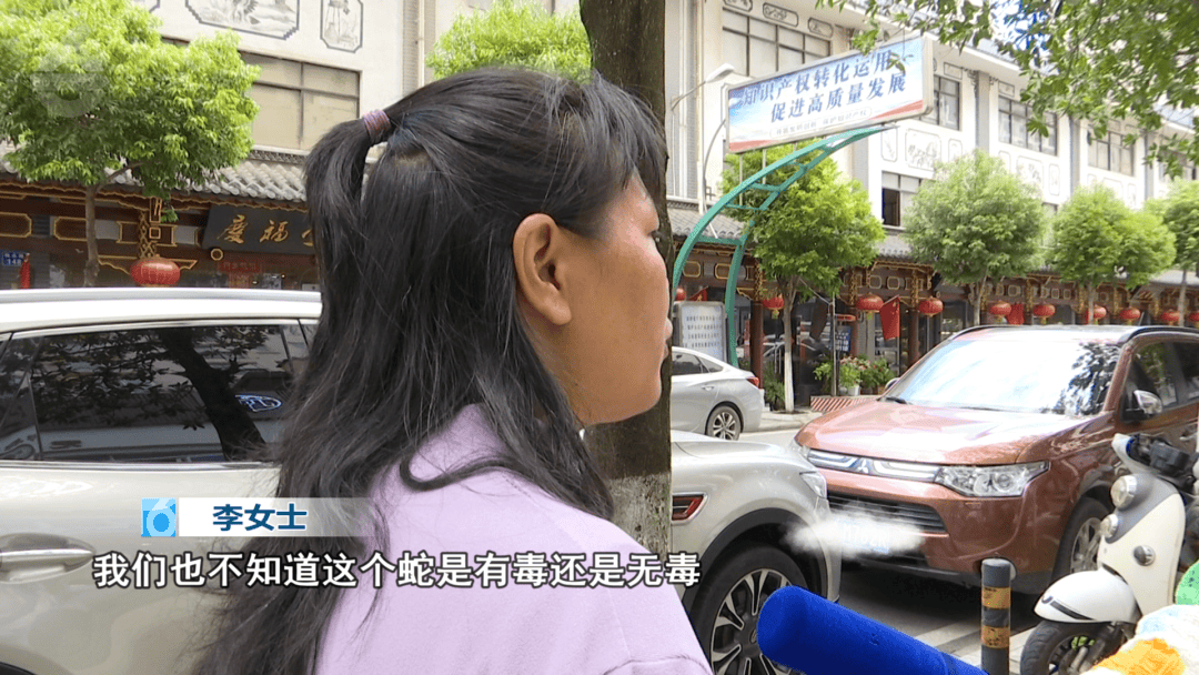 太吓人！云南女子网购塑料凳，拆开竟发现一条蛇被胶带粘在椅子上！还在动